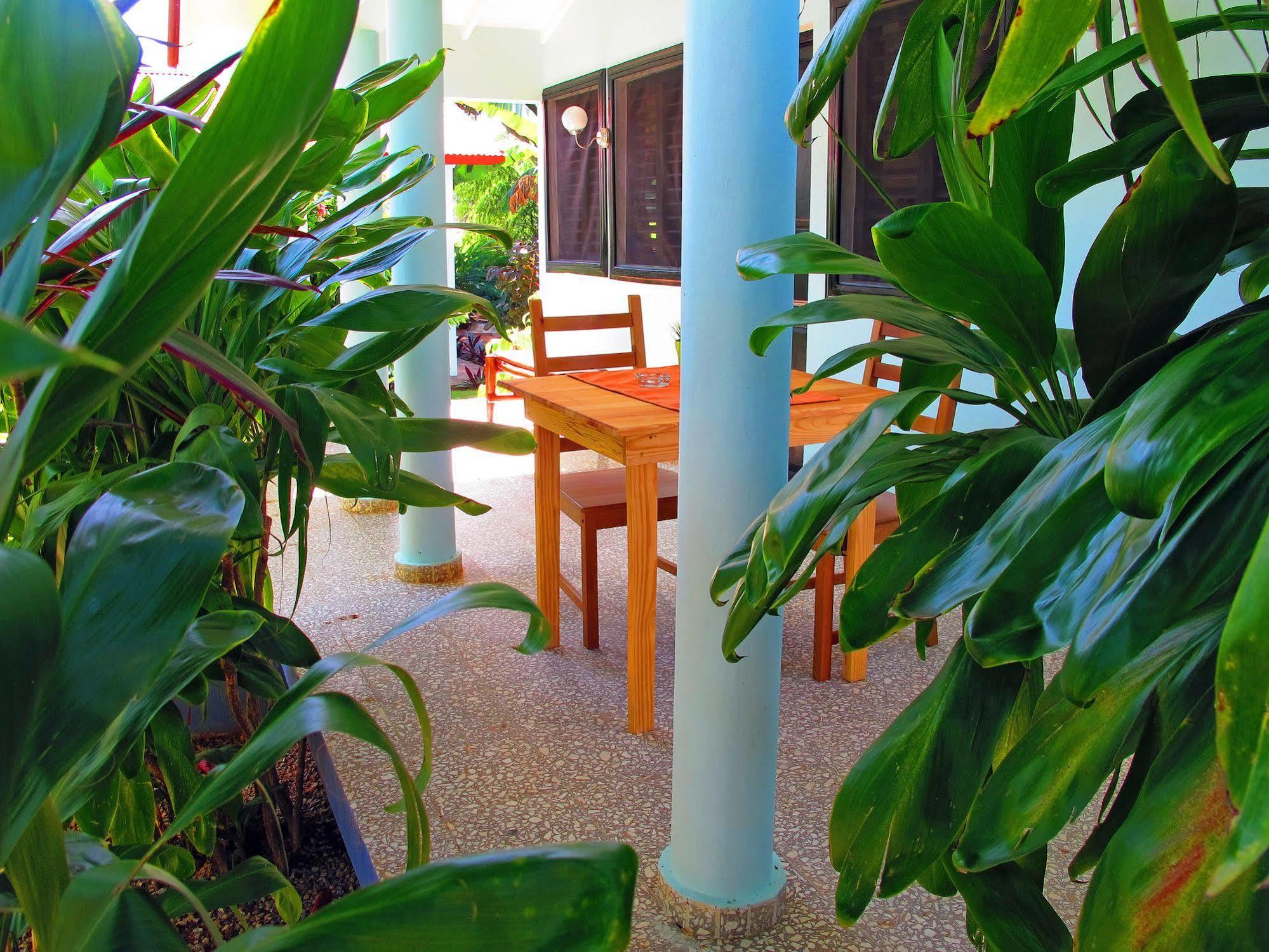 Bungalows Of Las Galeras Luaran gambar